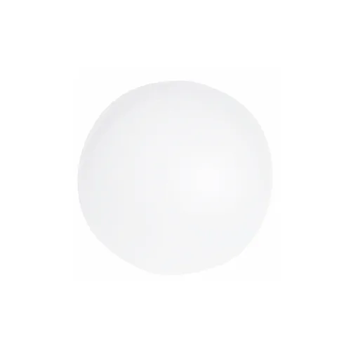 Portobello - TRANSPARENTE