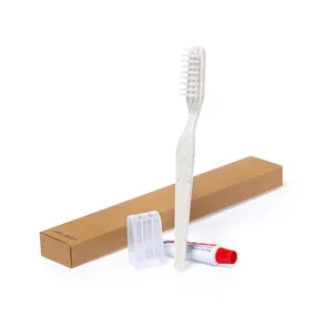 Dental Kit