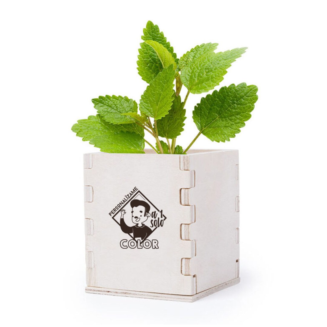 Maceta semillas menta personalizada